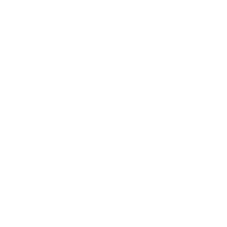 Uniek met Paarden